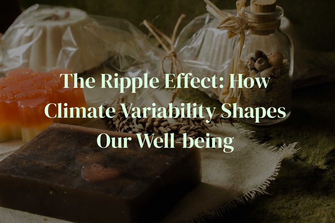 The Ripple Effect: How Climate Variability Shapes Our Well-being