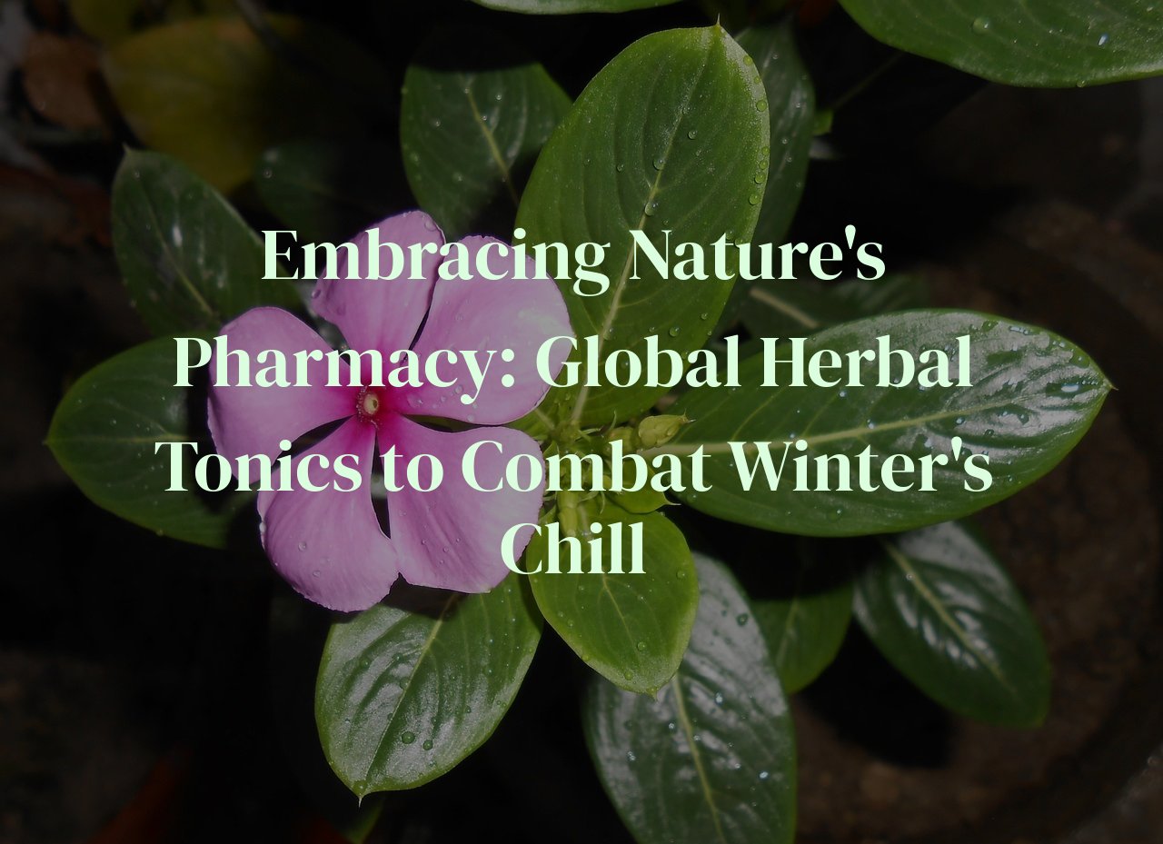 Embracing Nature's Pharmacy: Global Herbal Tonics to Combat Winter's Chill