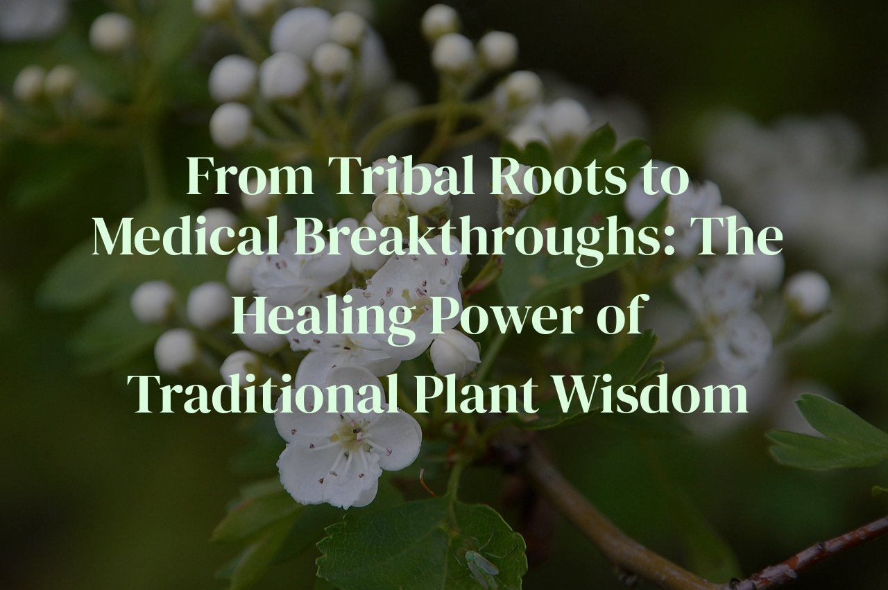 From Tribal Roots to Medical Breakthroughs: The Healing Power of Traditional Plant Wisdom