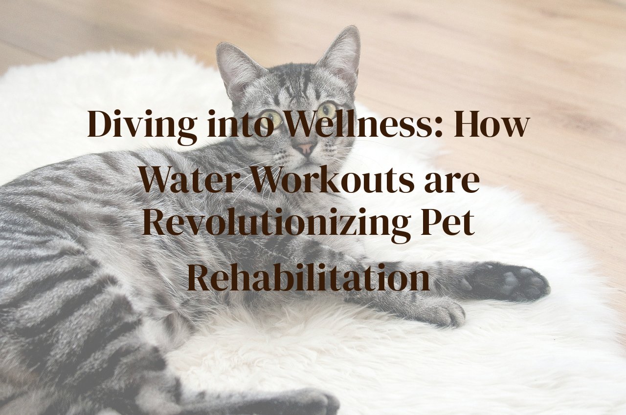 Diving into Wellness: How Water Workouts are Revolutionizing Pet Rehabilitation