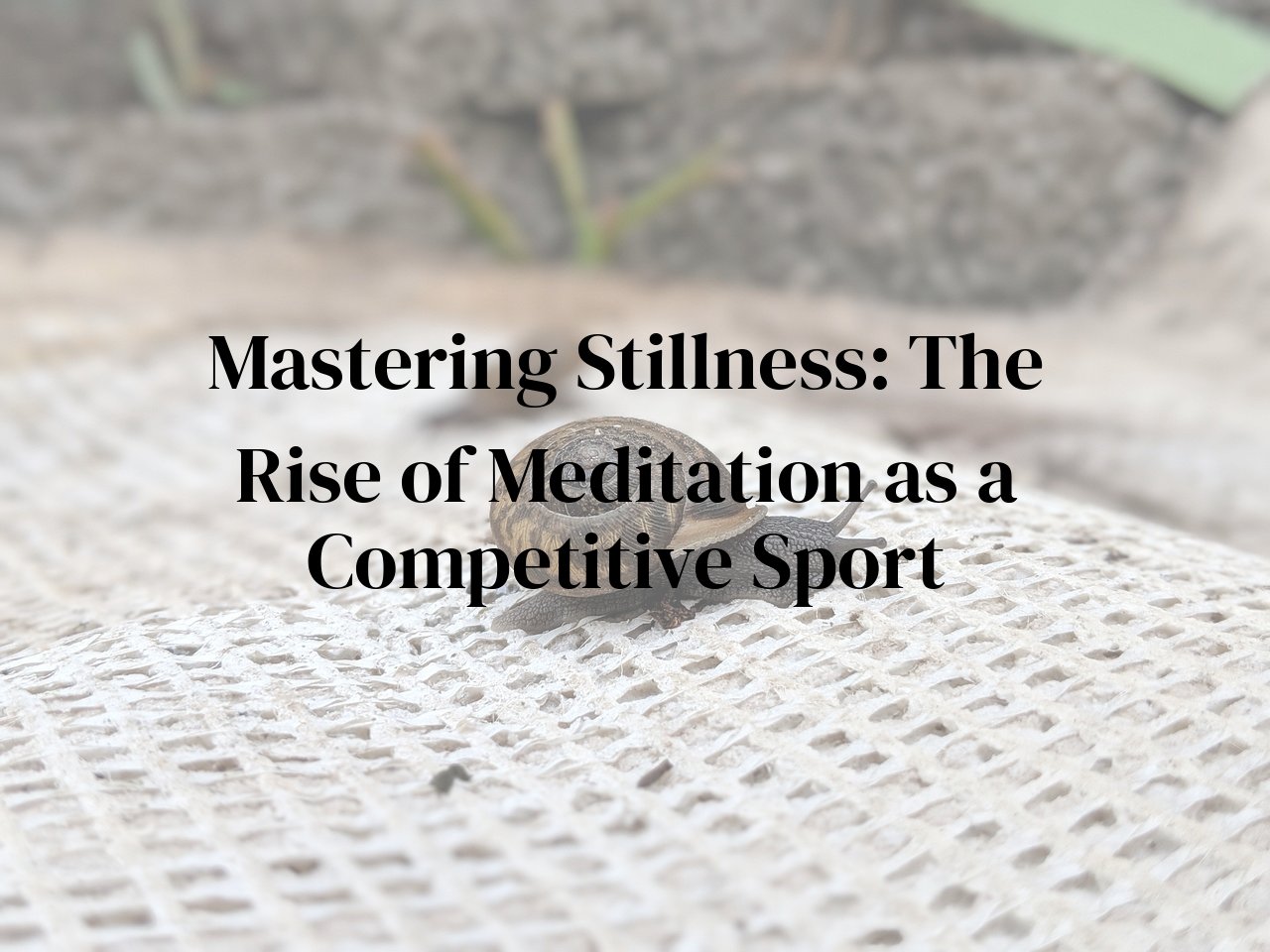 Mastering Stillness: The Rise of Meditation as a Competitive Sport