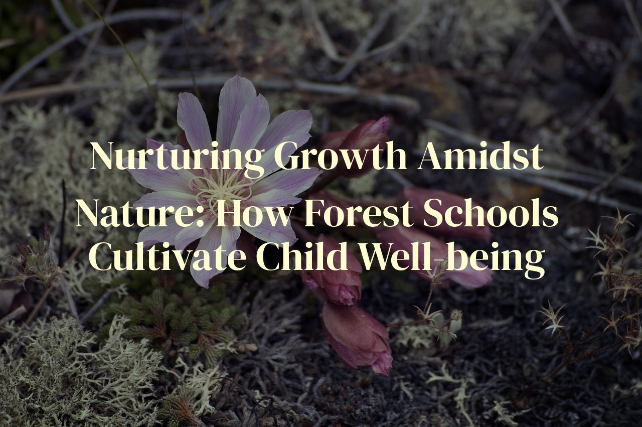 Nurturing Growth Amidst Nature: How Forest Schools Cultivate Child Well-being