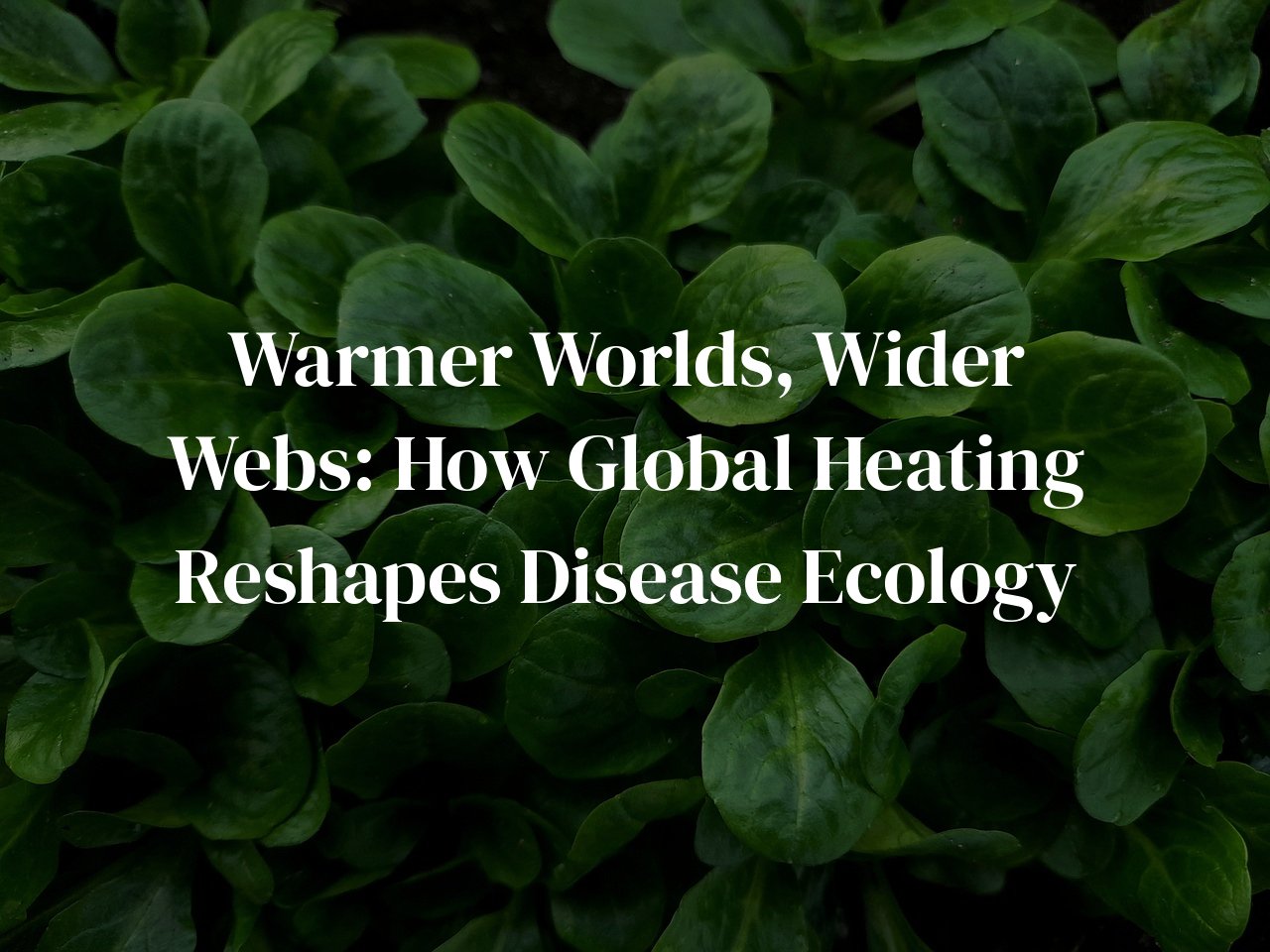 Warmer Worlds, Wider Webs: How Global Heating Reshapes Disease Ecology