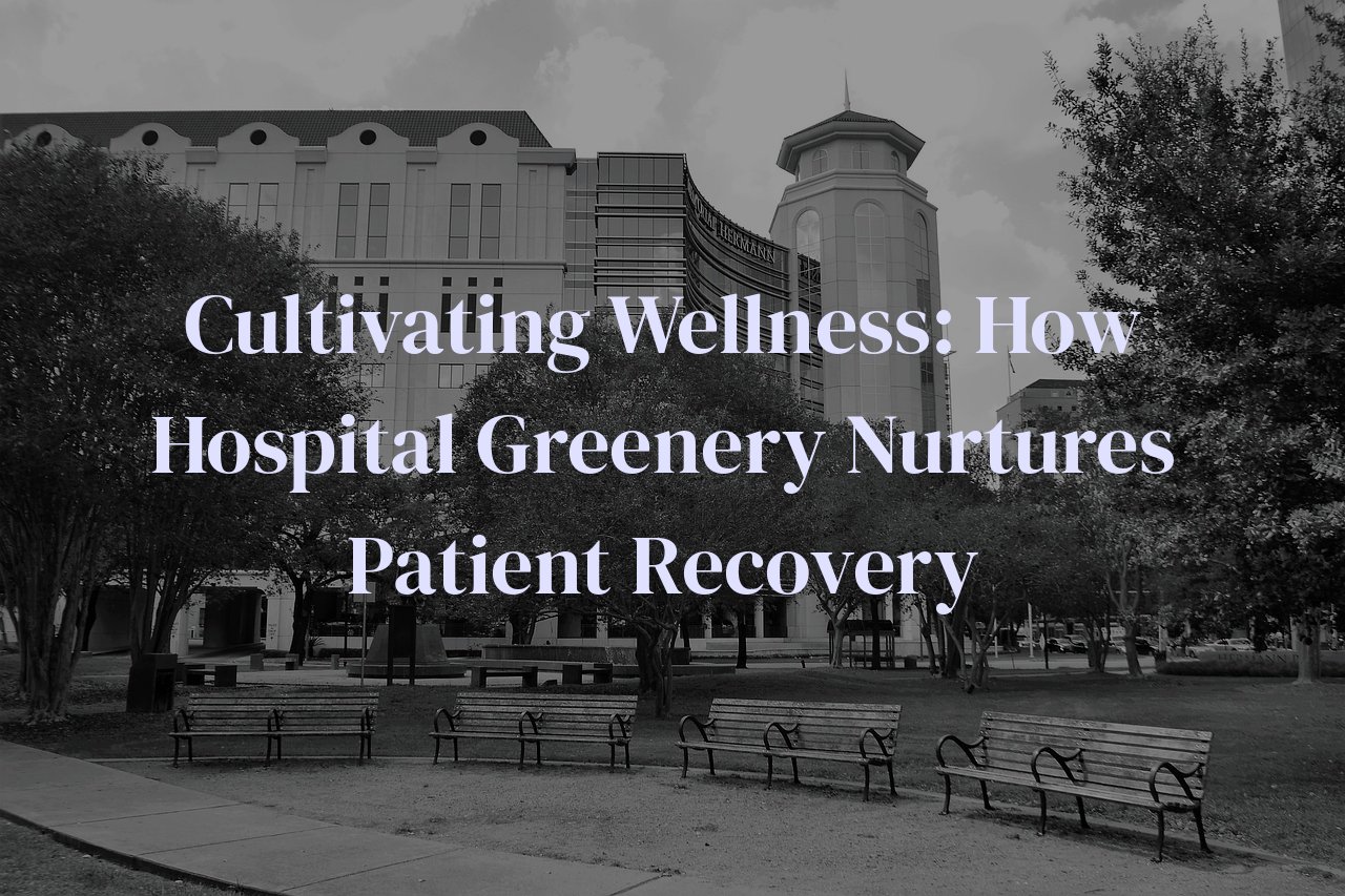 Cultivating Wellness: How Hospital Greenery Nurtures Patient Recovery
