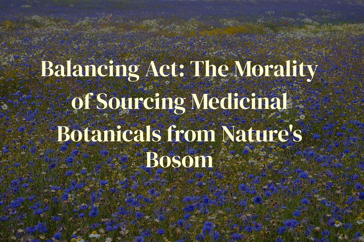 Balancing Act: The Morality of Sourcing Medicinal Botanicals from Nature's Bosom