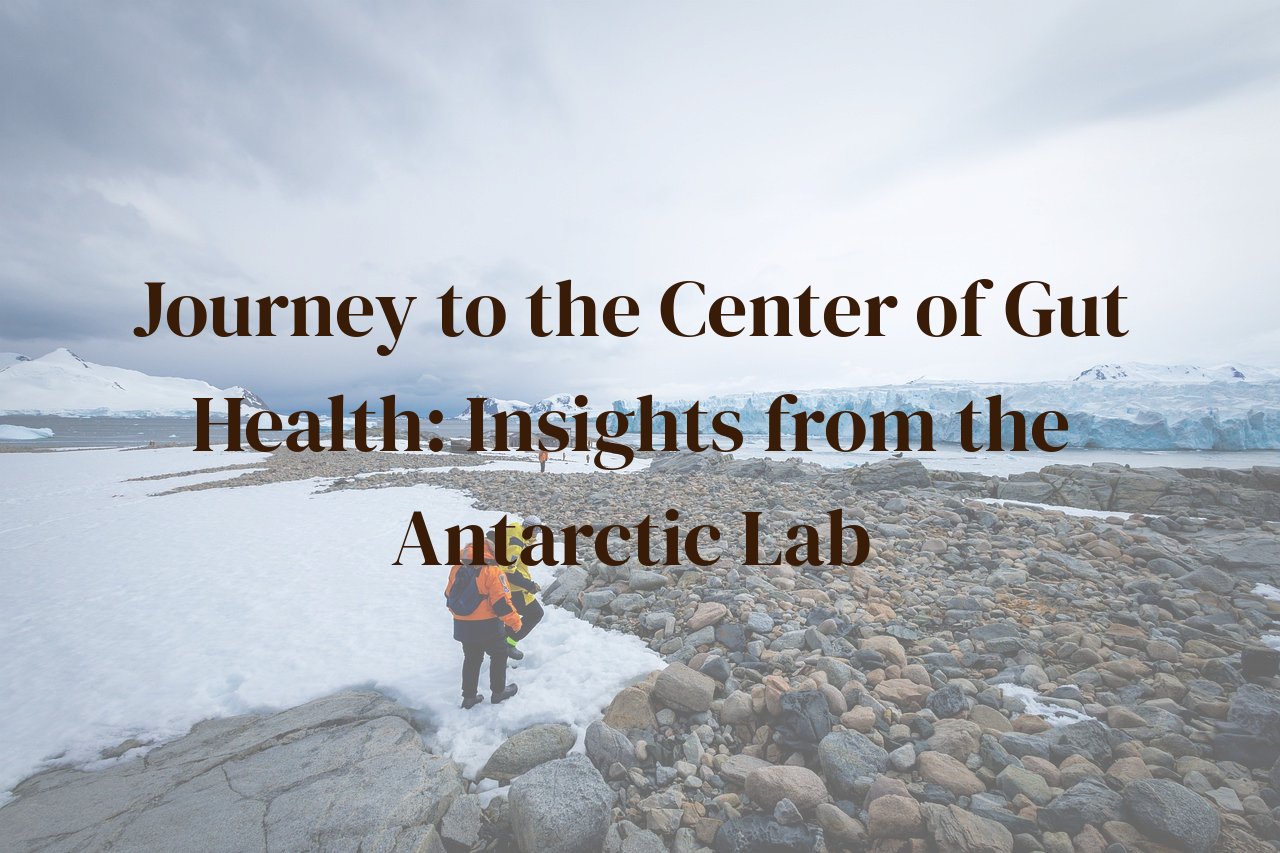 Journey to the Center of Gut Health: Insights from the Antarctic Lab