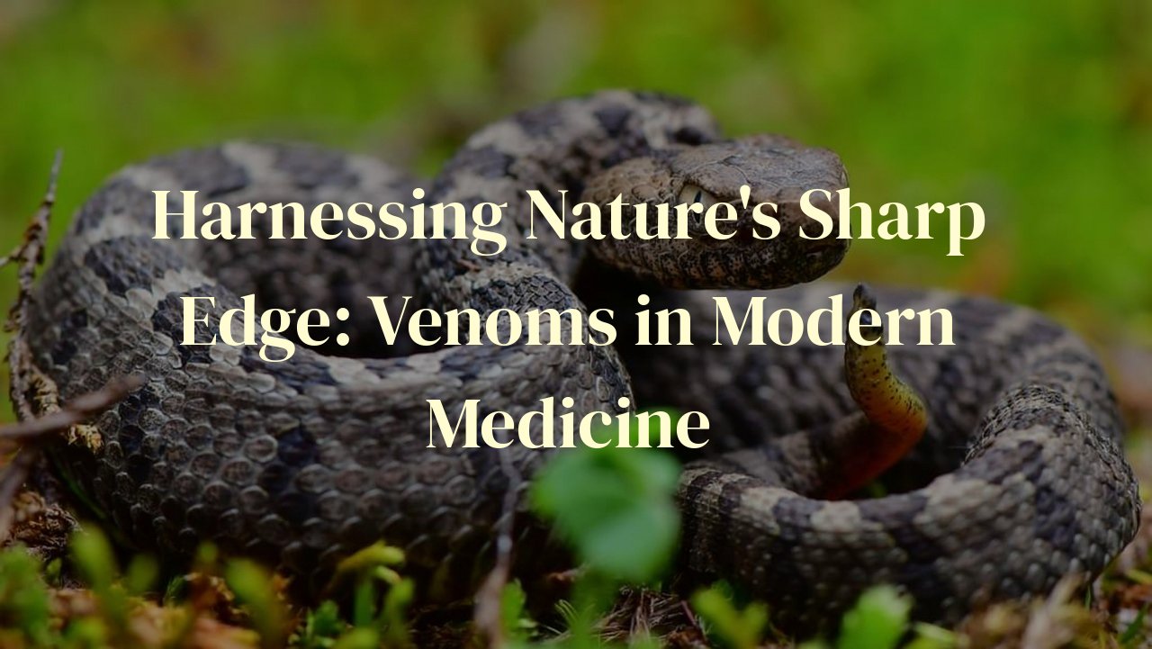 Harnessing Nature's Sharp Edge: Venoms in Modern Medicine