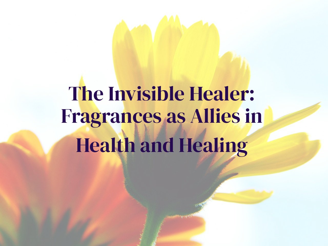 The Invisible Healer: Fragrances as Allies in Health and Healing