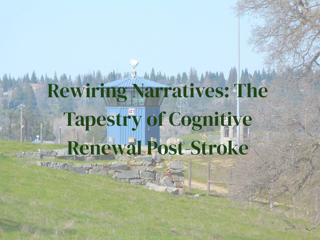 Rewiring Narratives: The Tapestry of Cognitive Renewal Post-Stroke