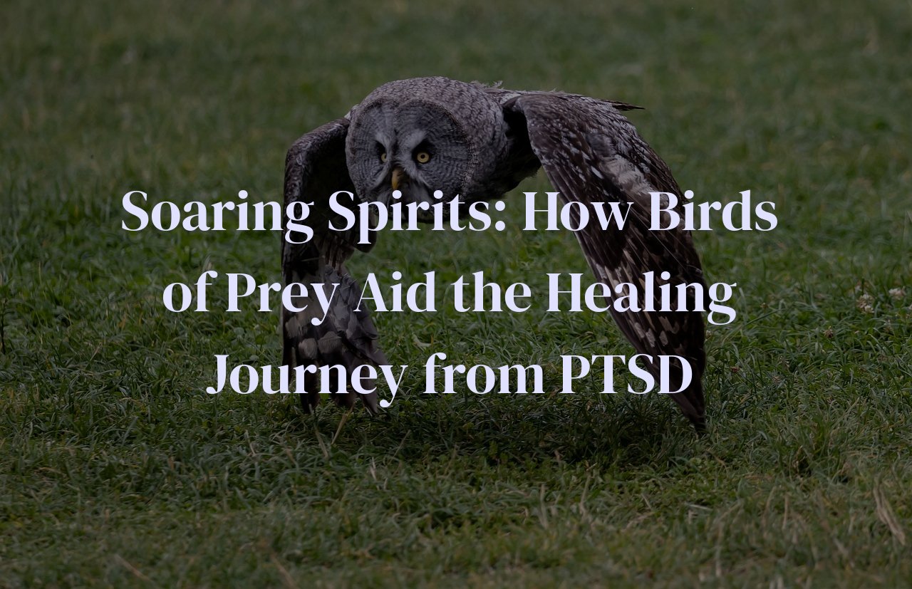Soaring Spirits: How Birds of Prey Aid the Healing Journey from PTSD
