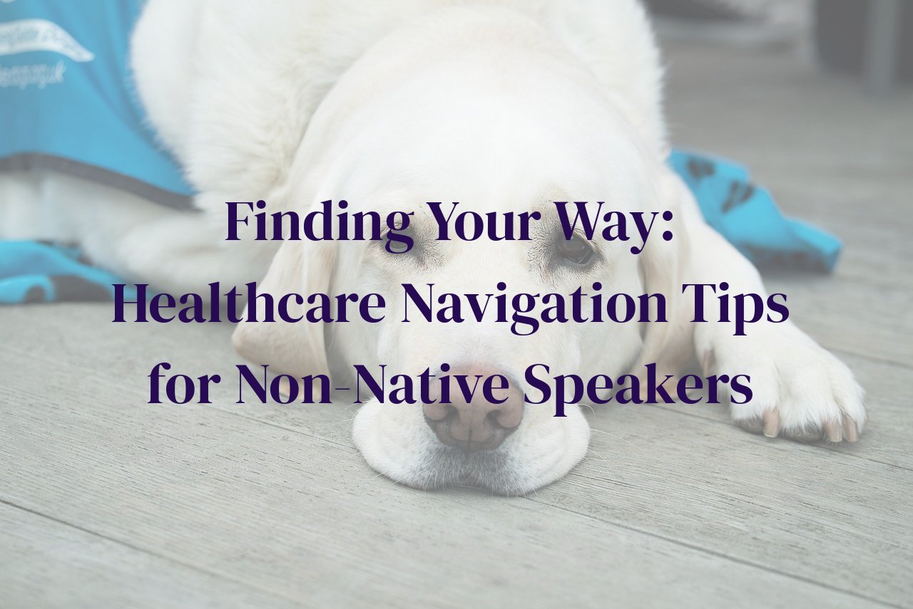 Finding Your Way: Healthcare Navigation Tips for Non-Native Speakers