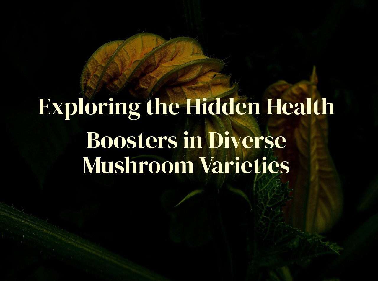 Exploring the Hidden Health Boosters in Diverse Mushroom Varieties